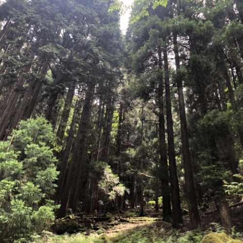 リフレッシュウォータ - 画像 (4)